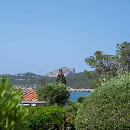 Margherita *